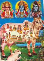 Lány szobatársat keresek kapcsolatra